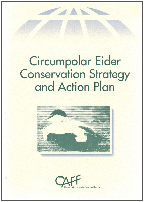 Eider Strategy and Action Plan, click to download