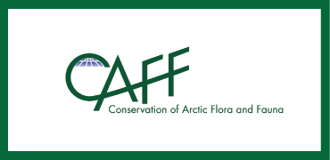 CAFF logo- colour