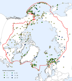 Distribution of populations time series data across the Arctic. CLICK TO DOWNLOAD FOR MEDIA USE