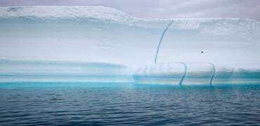 Arctic vs. Antarctic