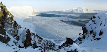 Photo: Wild Arctic Pictures/shutterstock.com