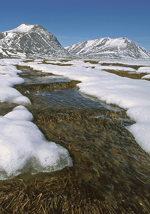 Melting tundra. Photo: Erik Thomsen