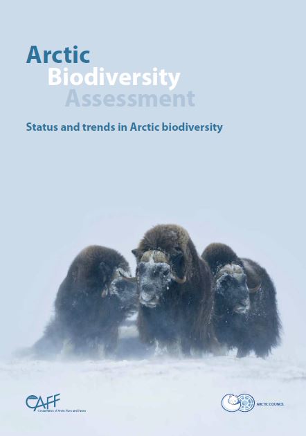 Arctic Biodiversity Assessment. Photo: Carsten Egevang/ARC-PIC.com