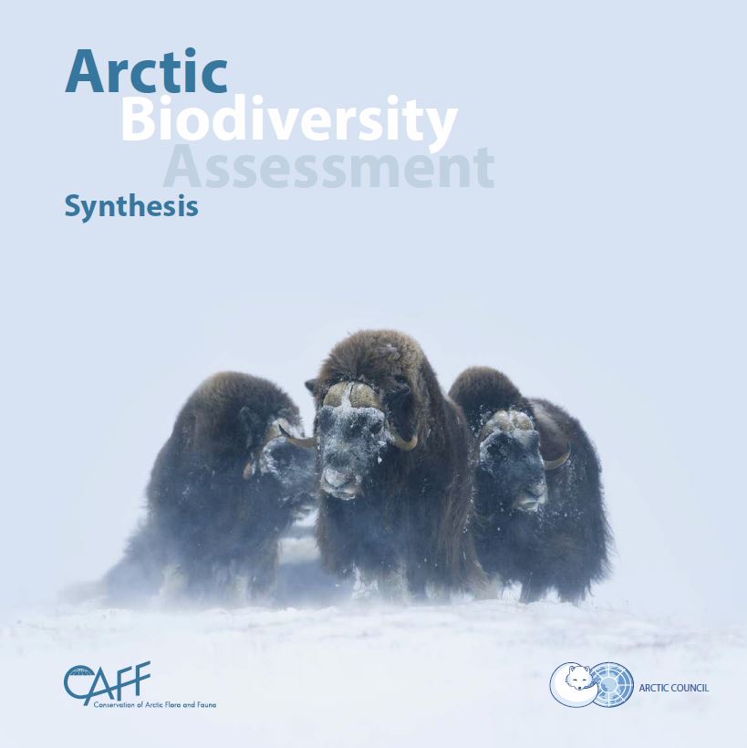 Arctic Biodiversity Assessment: Synthesis. Photo: Lars Holst Hansen/ARC-PIC.com