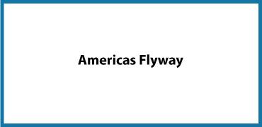 Americas Flyway
