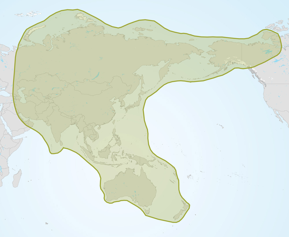 Central and East Asian Flyway