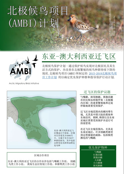 AMBI EAA China