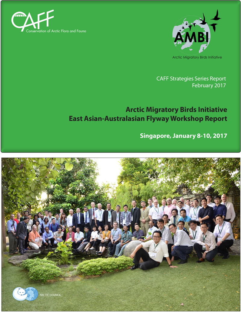 AMBI Singapore workshop 2017 FINAL 1