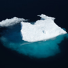 Sea Ice Associated Biodiversity Assessment