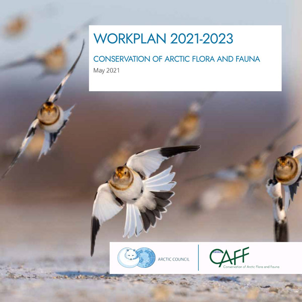 CAFF Workplan 2021 2023 1