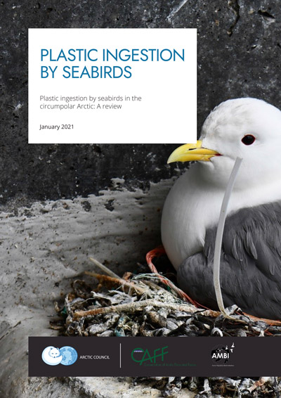 CAFF Seabirds Plastic LiteratureReview 2021 1