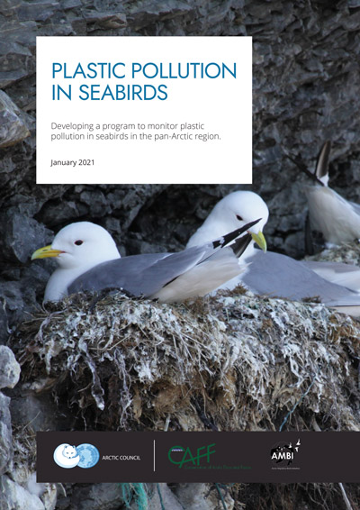 CAFF AMBI Monitoring Plastics Seabirds 2021 1
