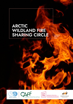 Arctic wildland Fire Sharing Circle March2022 1